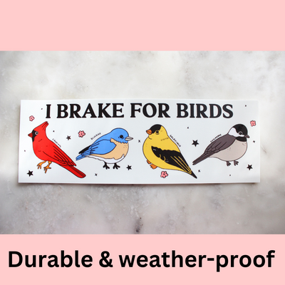 Bumper Stickers collection