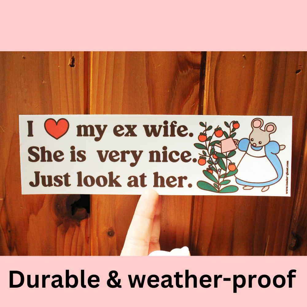 I Love My Ex Wife Bumper Sticker