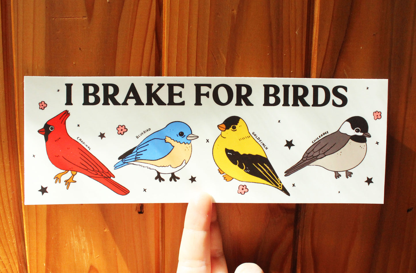 I Brake For Birds Bumper Sticker