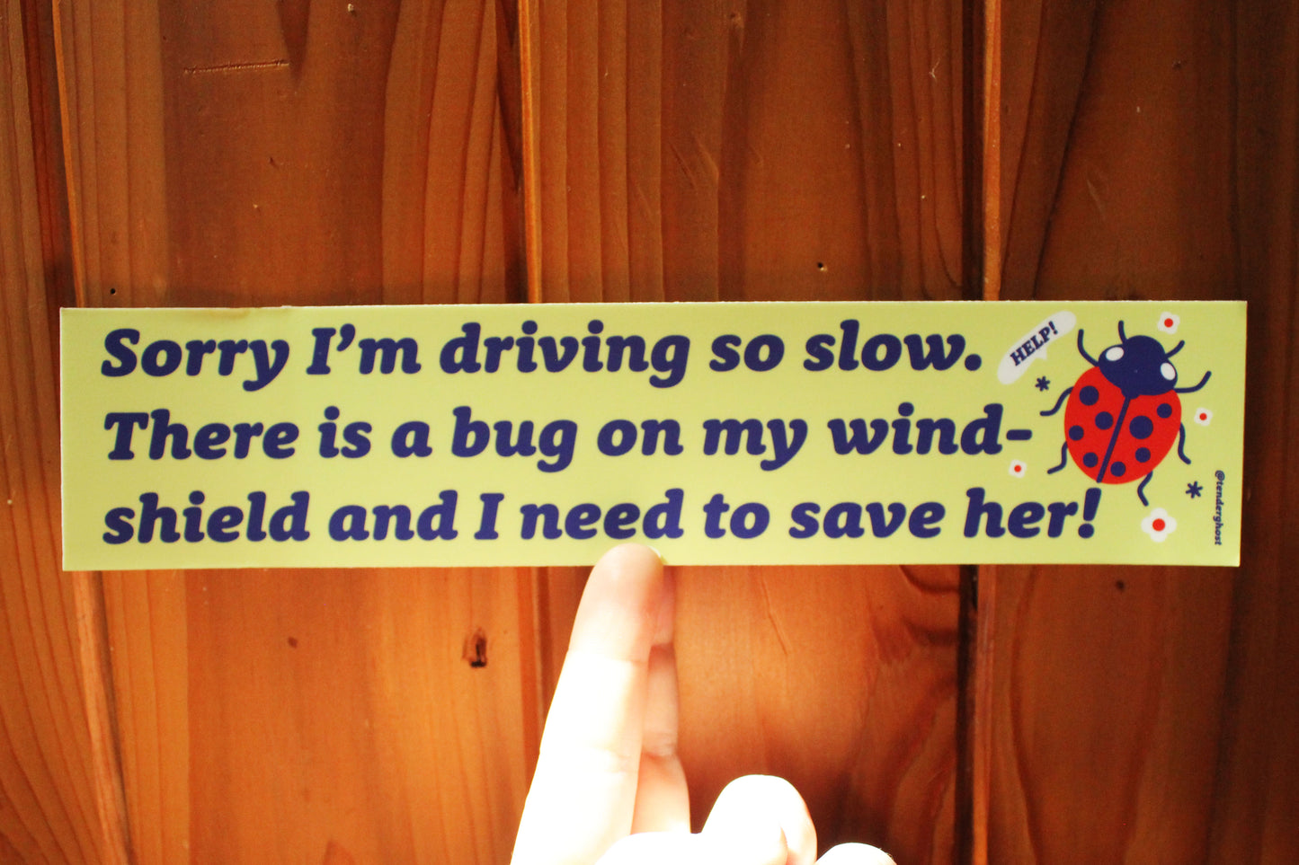 Bug On My Windshield Bumper Sticker